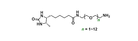 Desthiobiotin-Amine